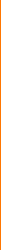 Vertical Line_Orange